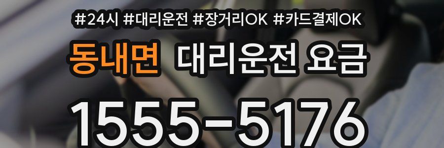 동내면 대리운전 요금