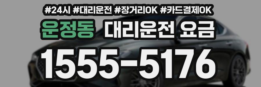 운정동 대리운전 요금