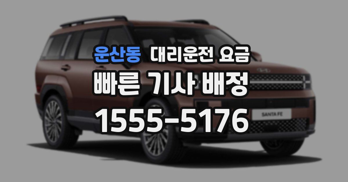 운산동 대리운전 가격