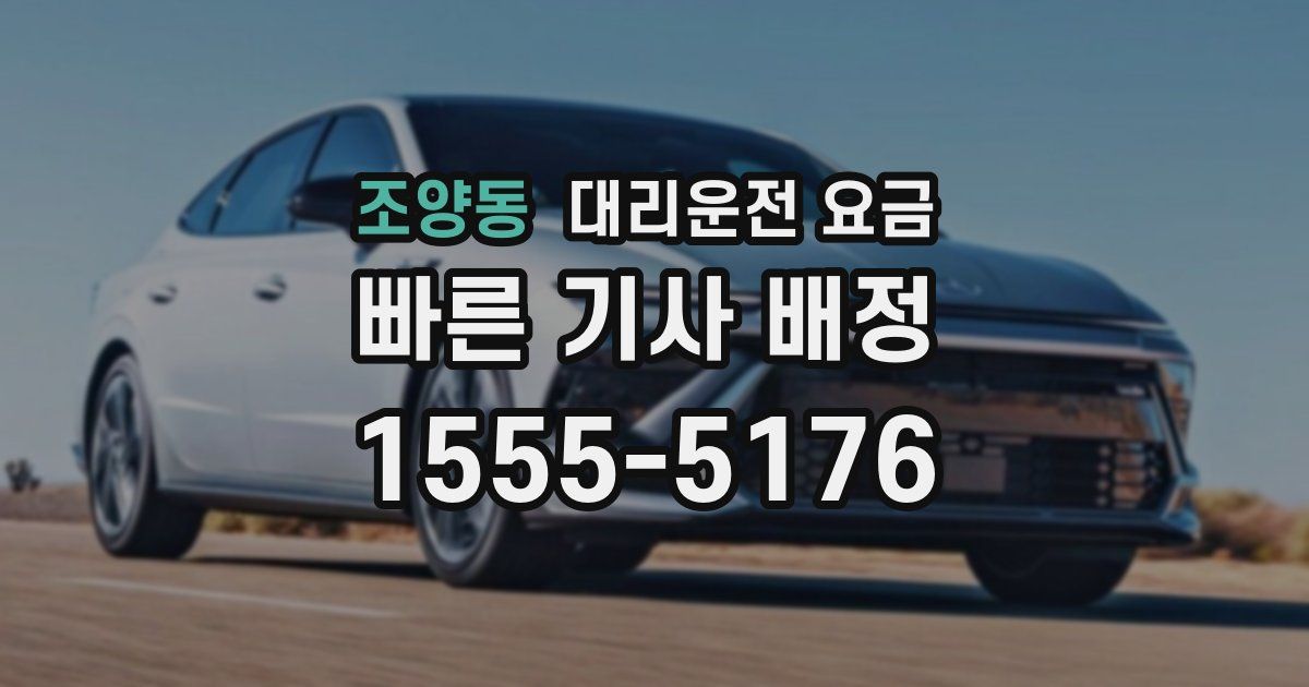 조양동 대리운전 가격