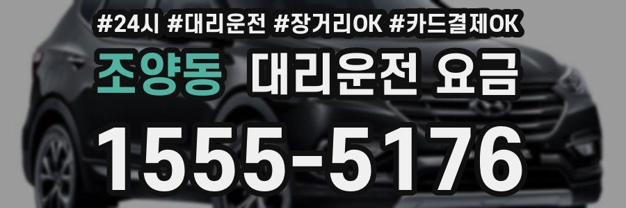 조양동 대리운전 요금