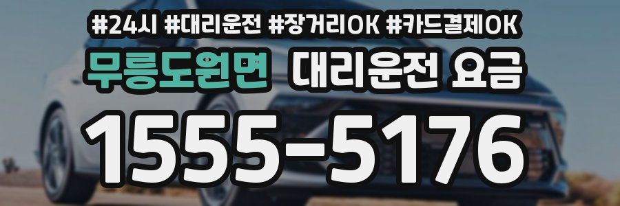 무릉도원면 대리운전 요금