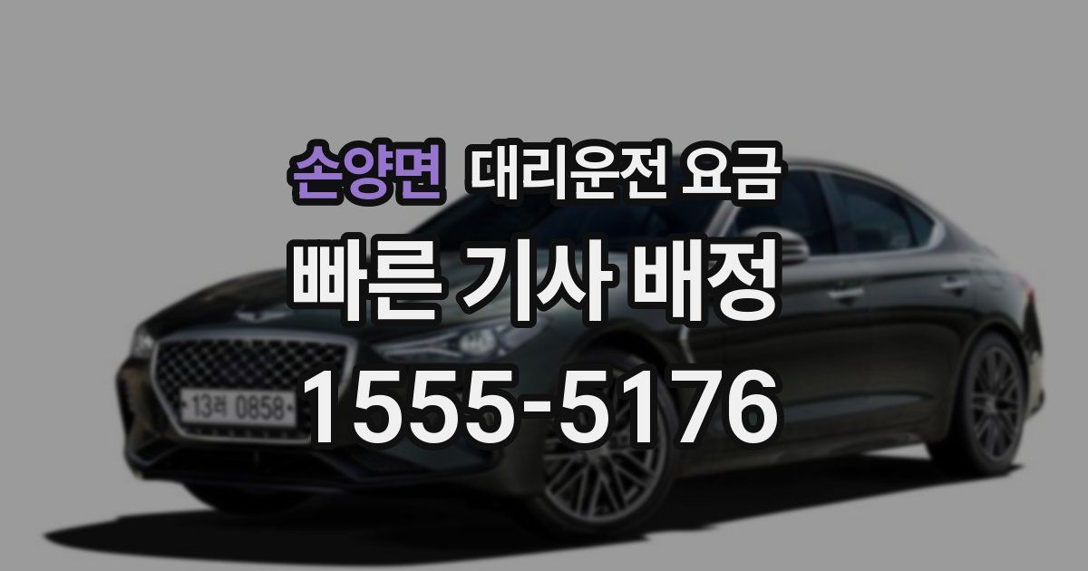 손양면 대리운전 가격