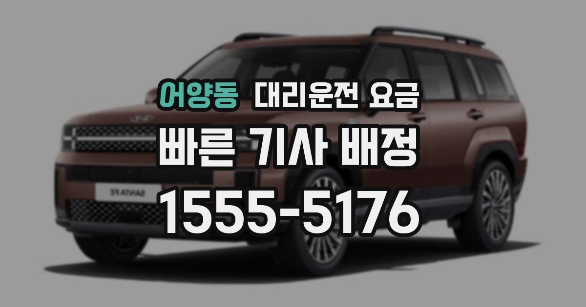 어양동 대리운전 가격