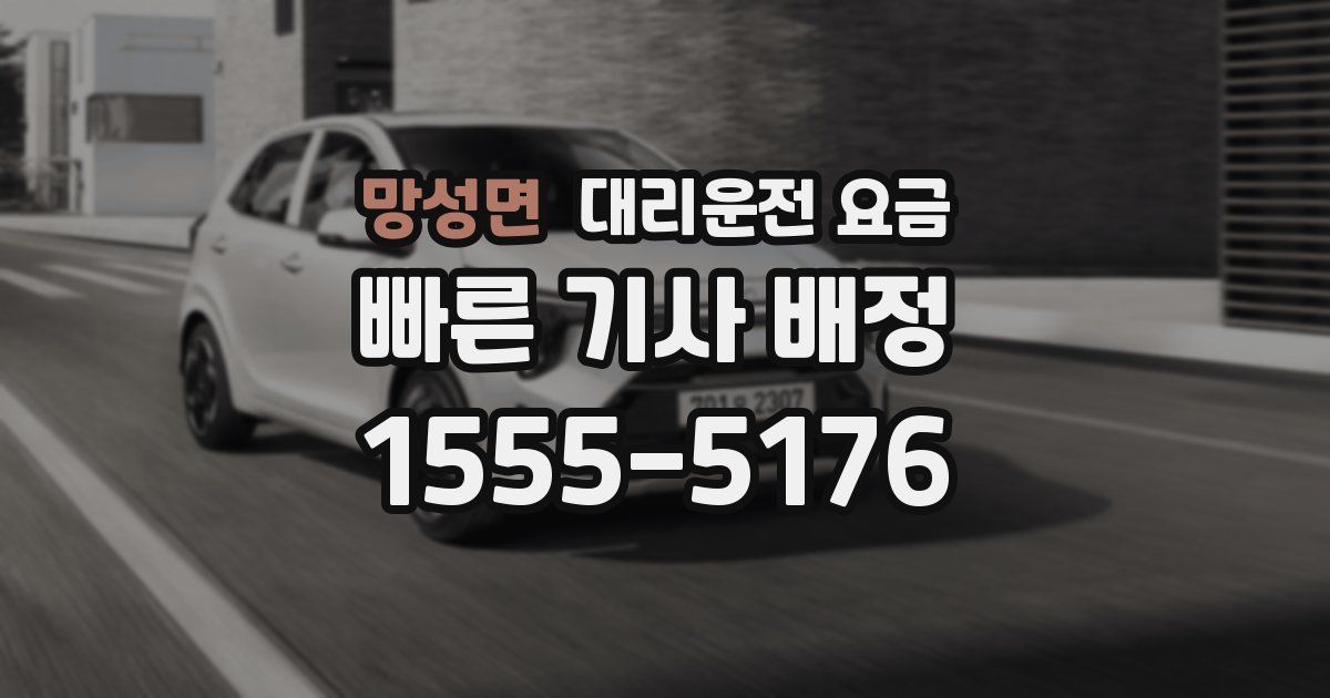 망성면 대리운전 가격