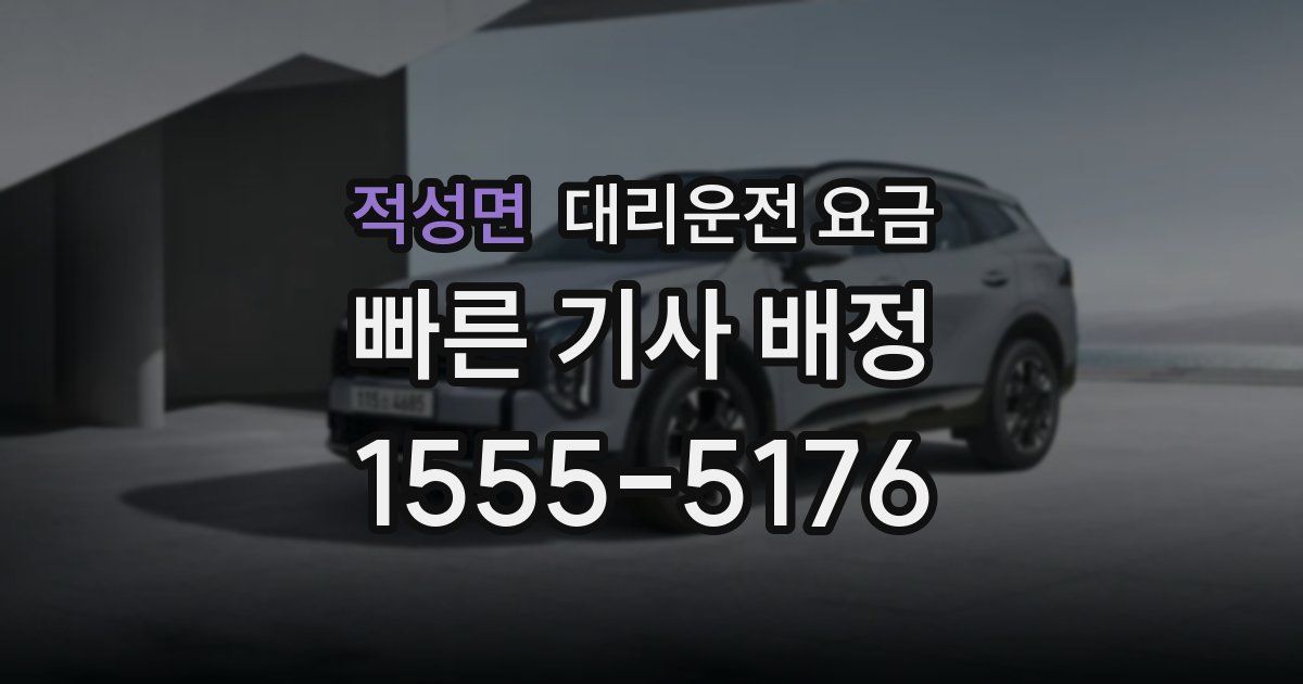 적성면 대리운전 가격