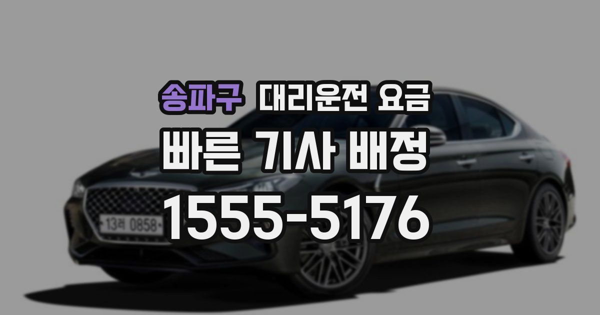 송파구 대리운전 가격