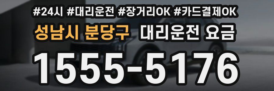 성남시 분당구 대리운전 요금