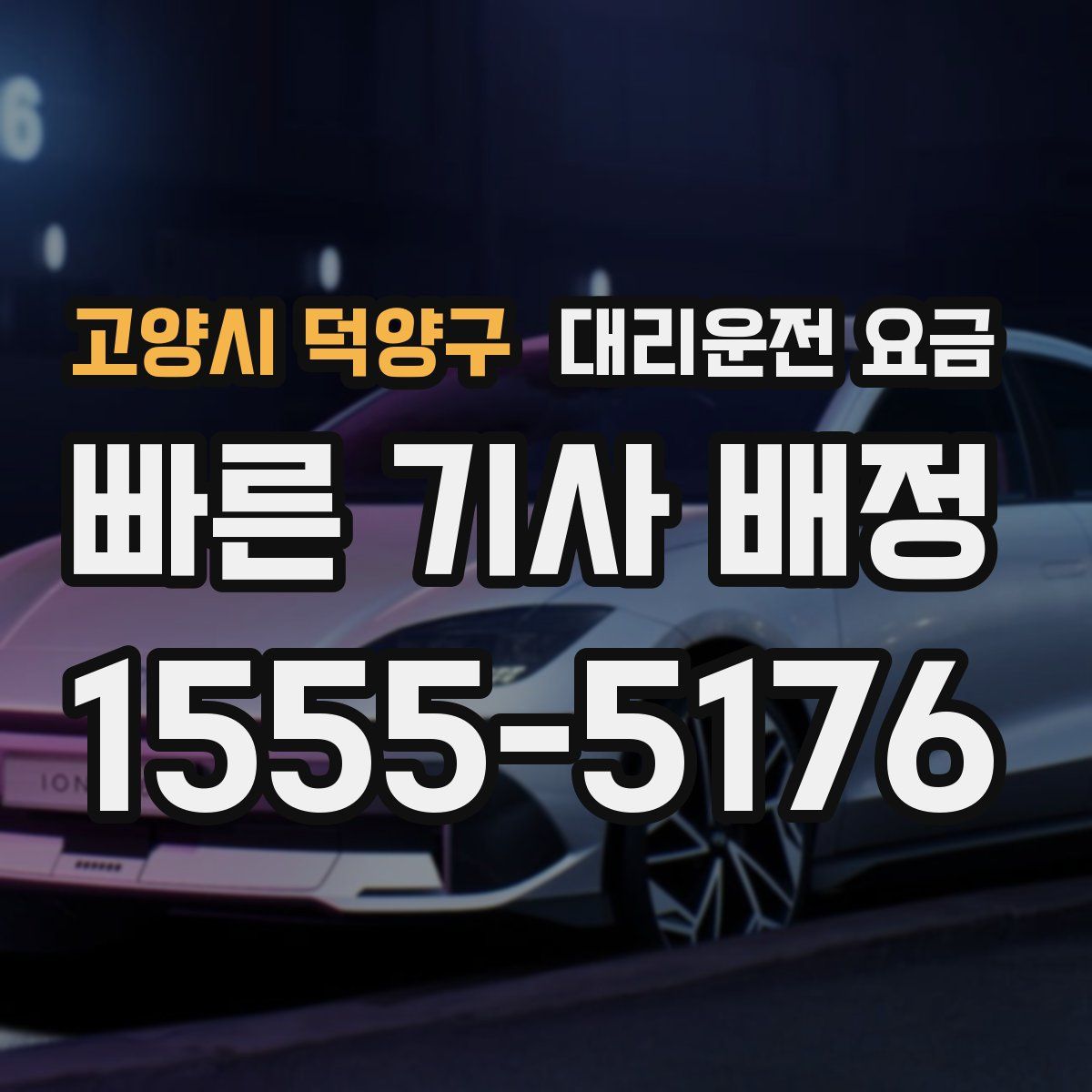 고양시 덕양구 대리운전