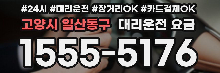 고양시 일산동구 대리운전 요금