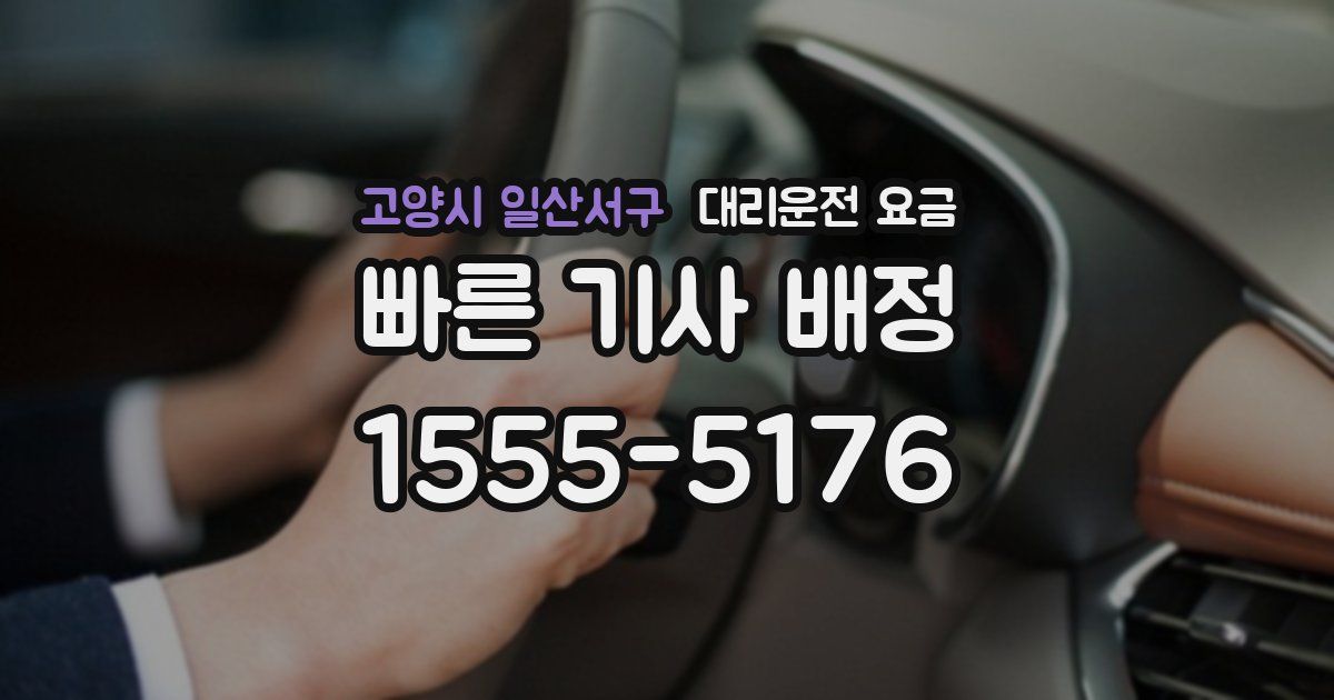 고양시 일산서구 대리운전 가격