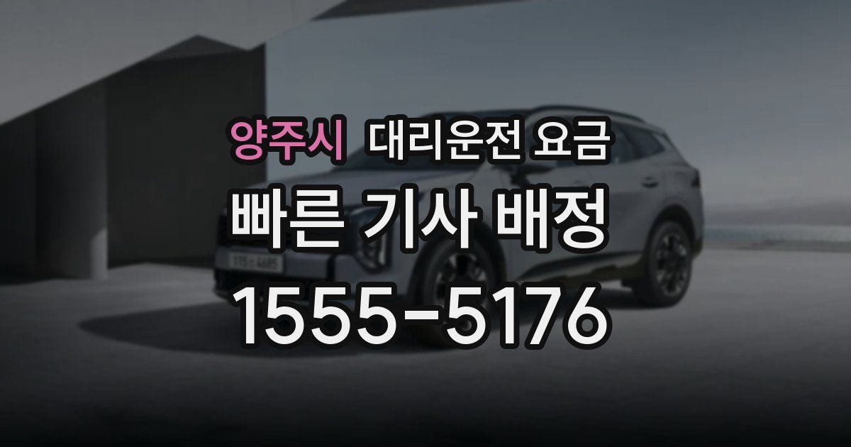 양주시 대리운전 가격