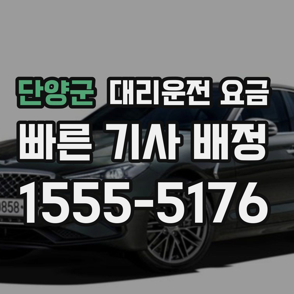 단양군 대리운전