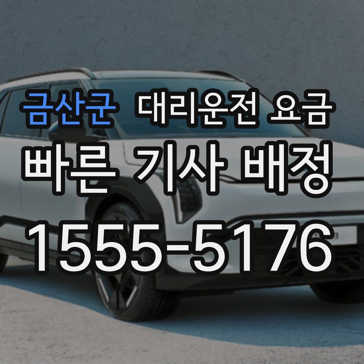 금산군 대리운전