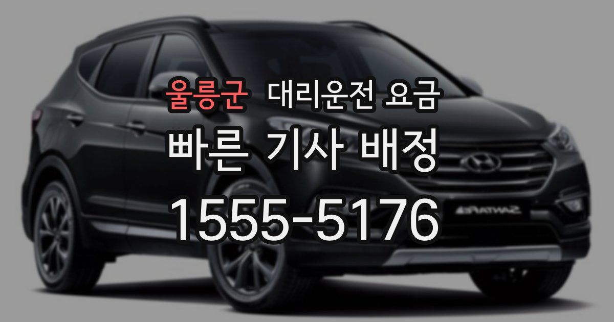 울릉군 대리운전 가격