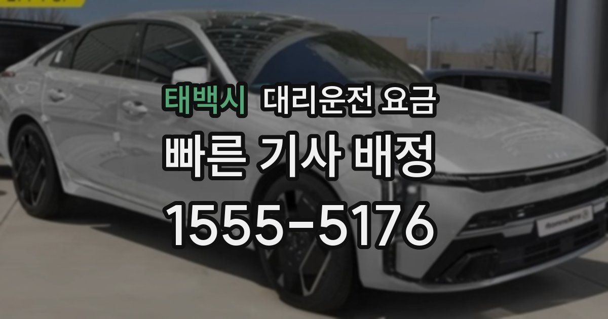 태백시 대리운전 가격