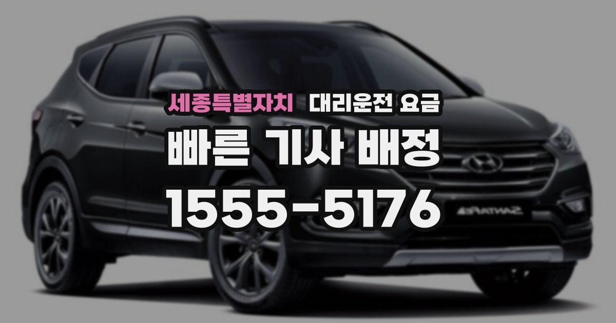 세종특별자치 대리운전 가격