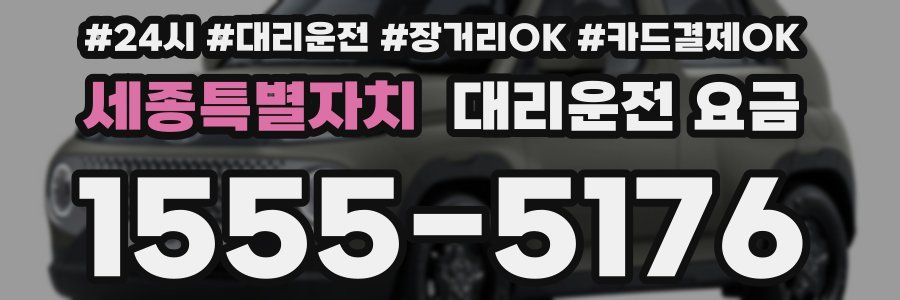 세종특별자치 대리운전 요금