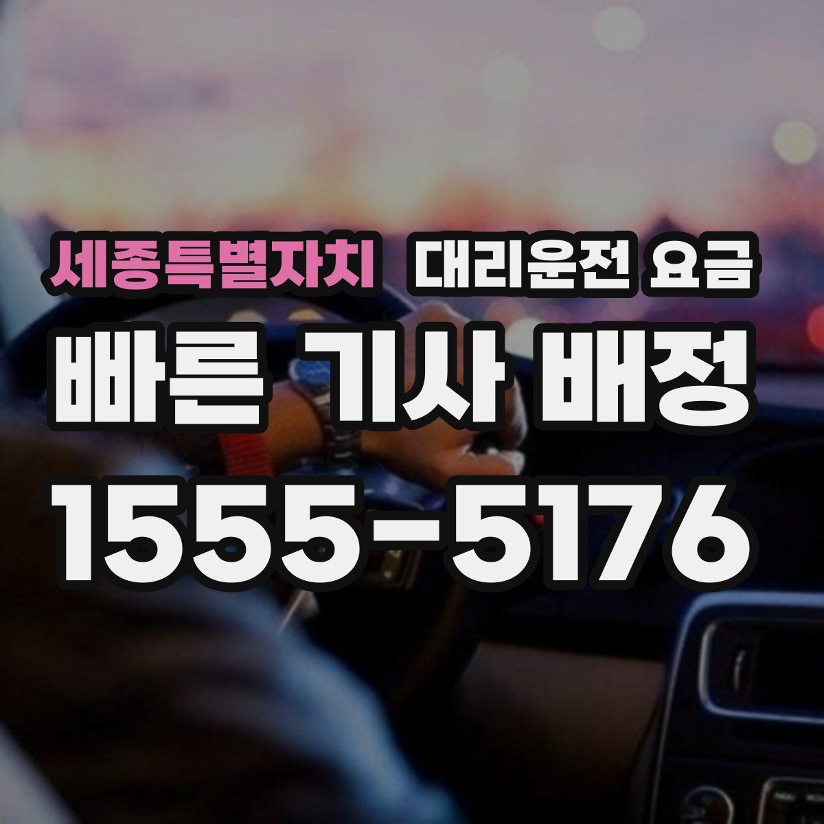 세종특별자치 대리운전