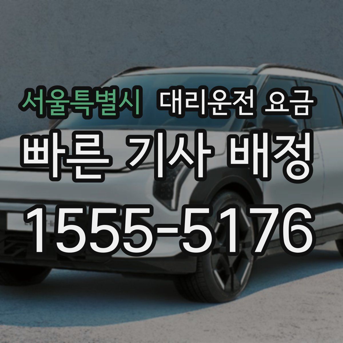 서울특별시 대리운전