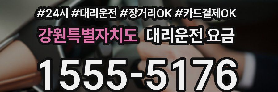 강원특별자치도 대리운전 요금