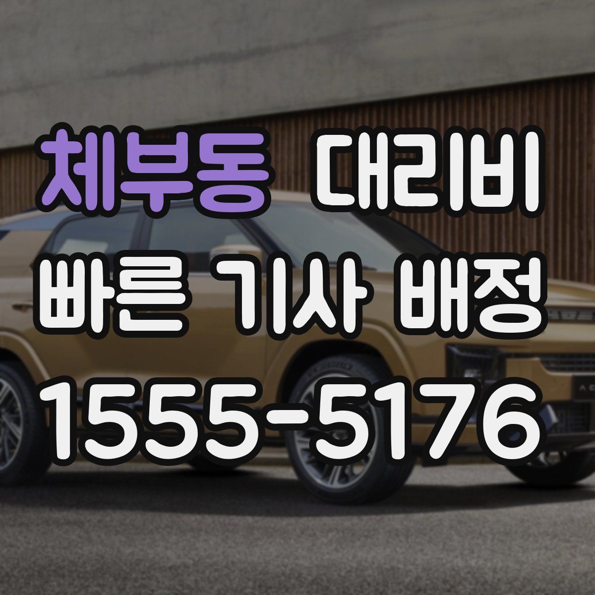 체부동 대리운전