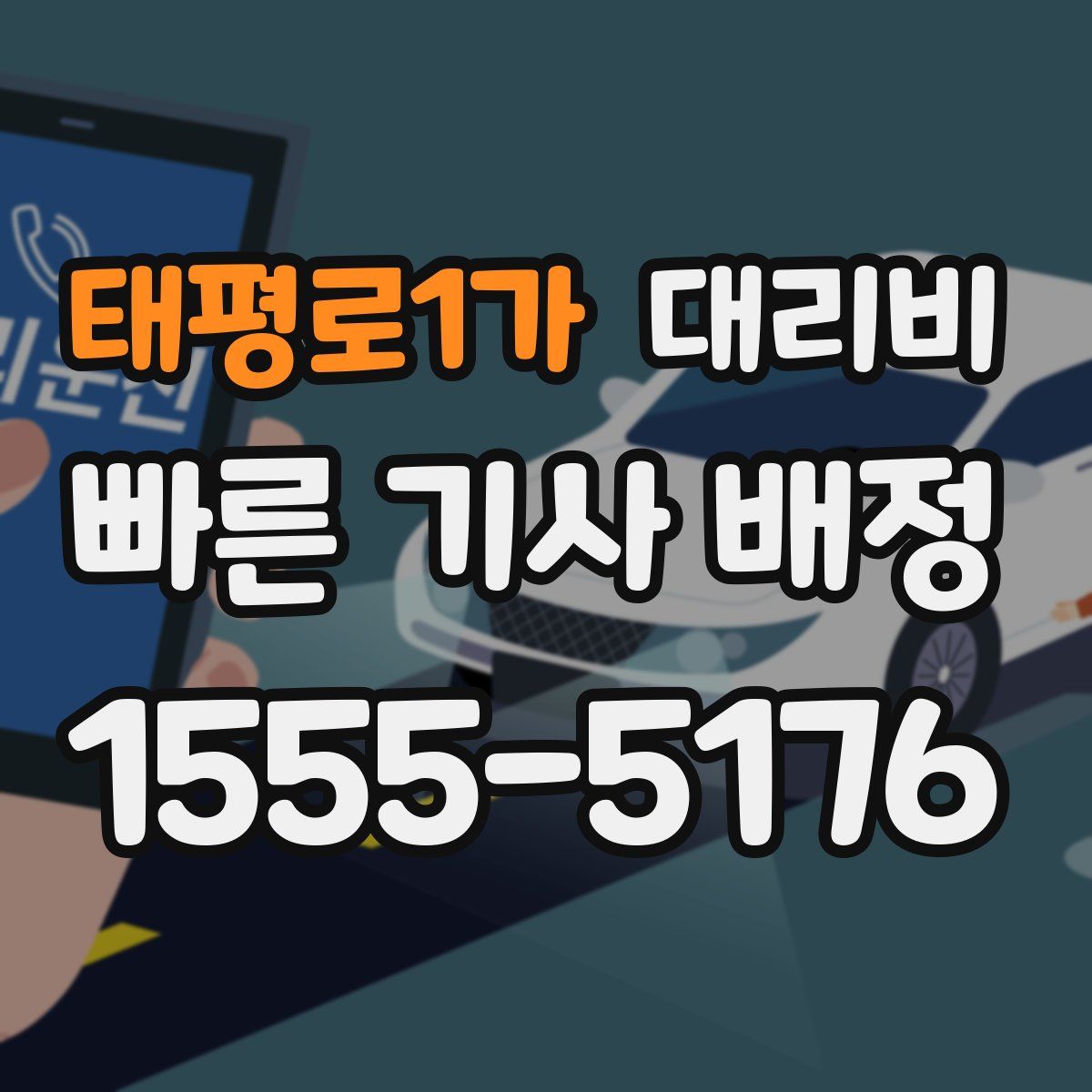 태평로1가 대리운전