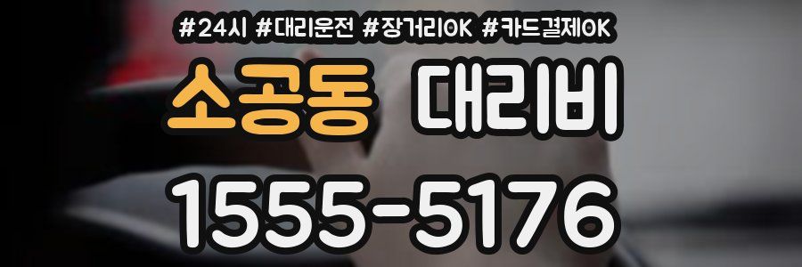 소공동 대리비