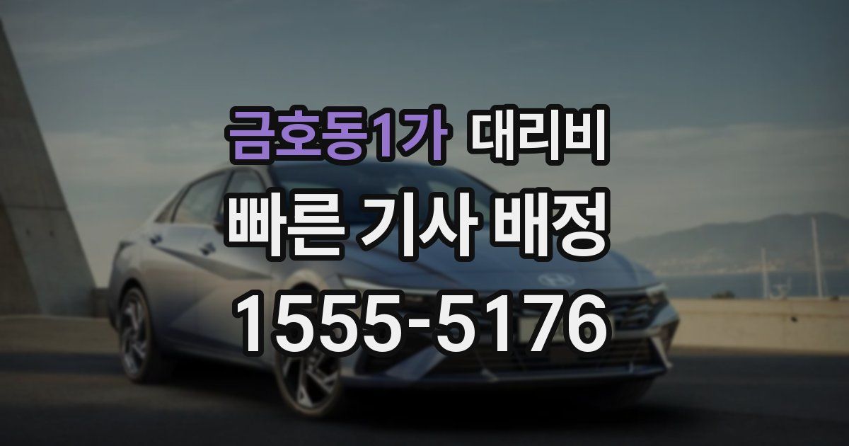 금호동1가 대리운전 가격