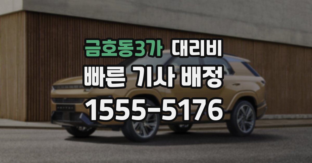 금호동3가 대리운전 가격