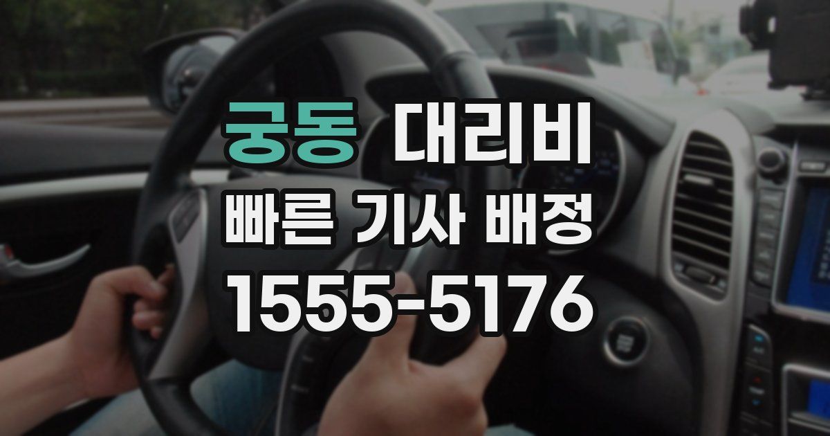 궁동 대리운전 가격