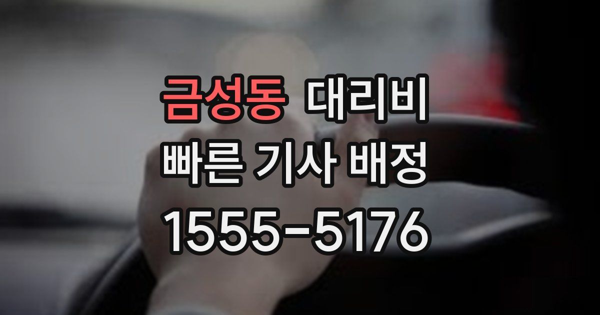 금성동 대리운전 가격