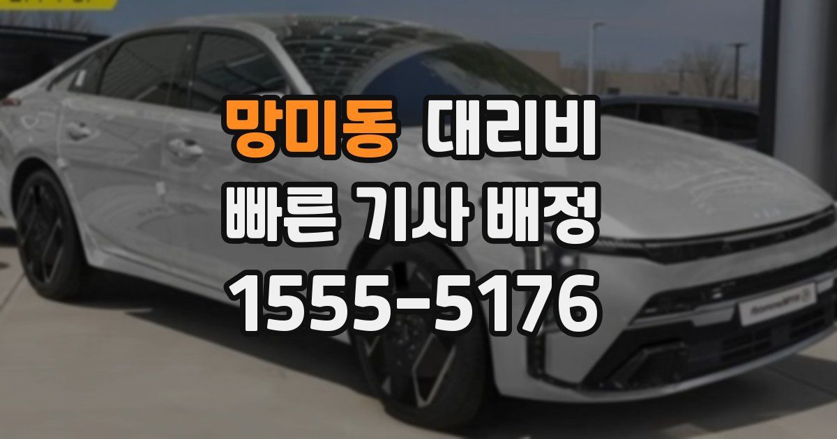 망미동 대리운전 가격
