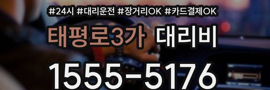 태평로3가 대리비