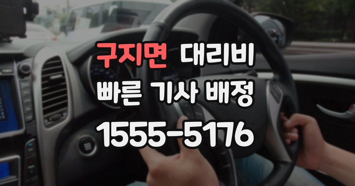구지면 대리운전 가격