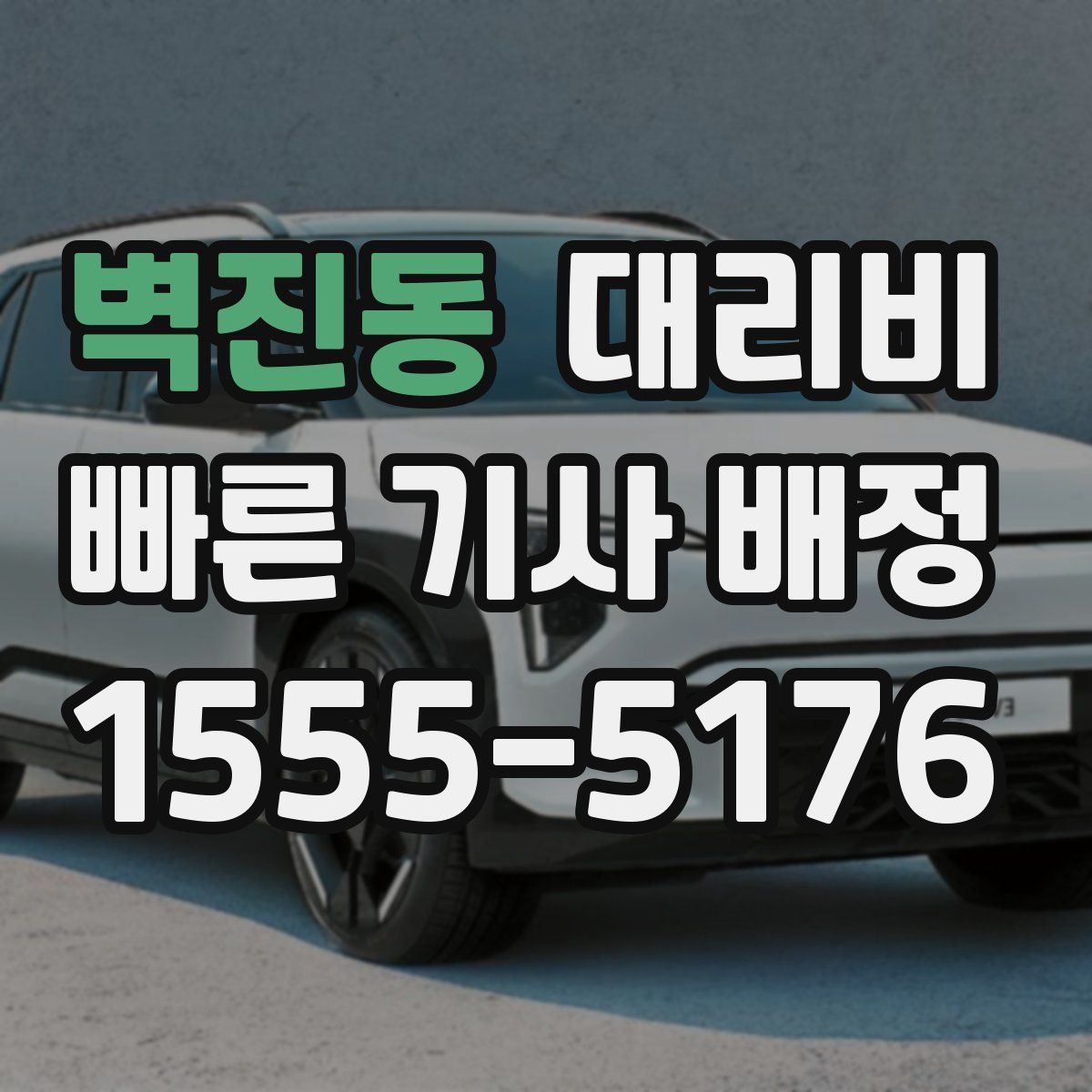 벽진동 대리운전