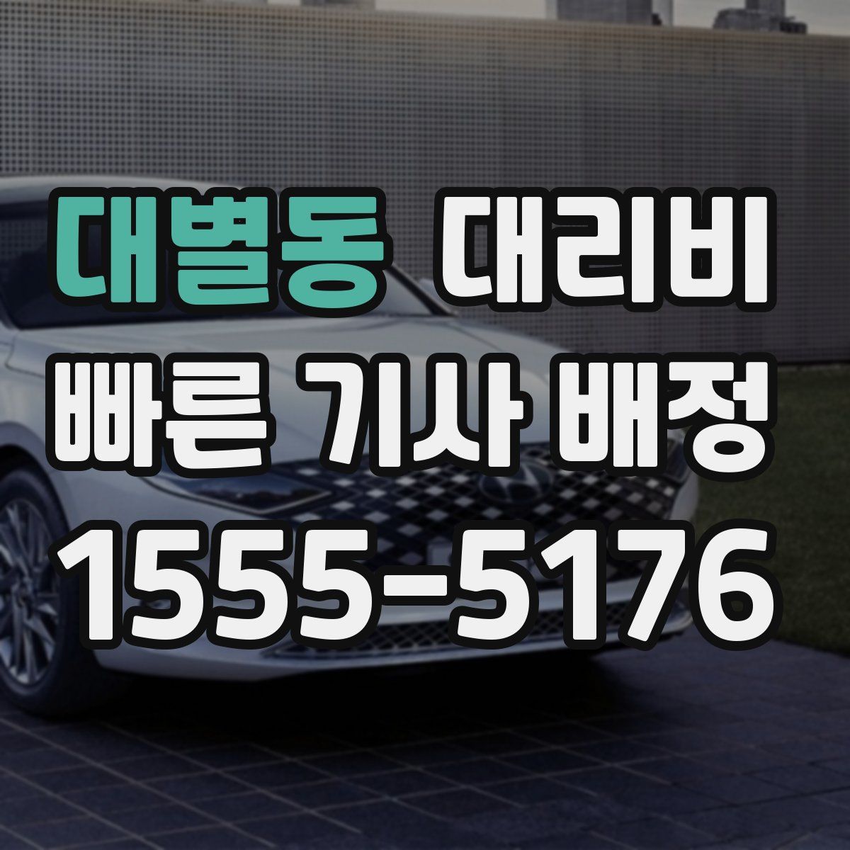 대별동 대리운전