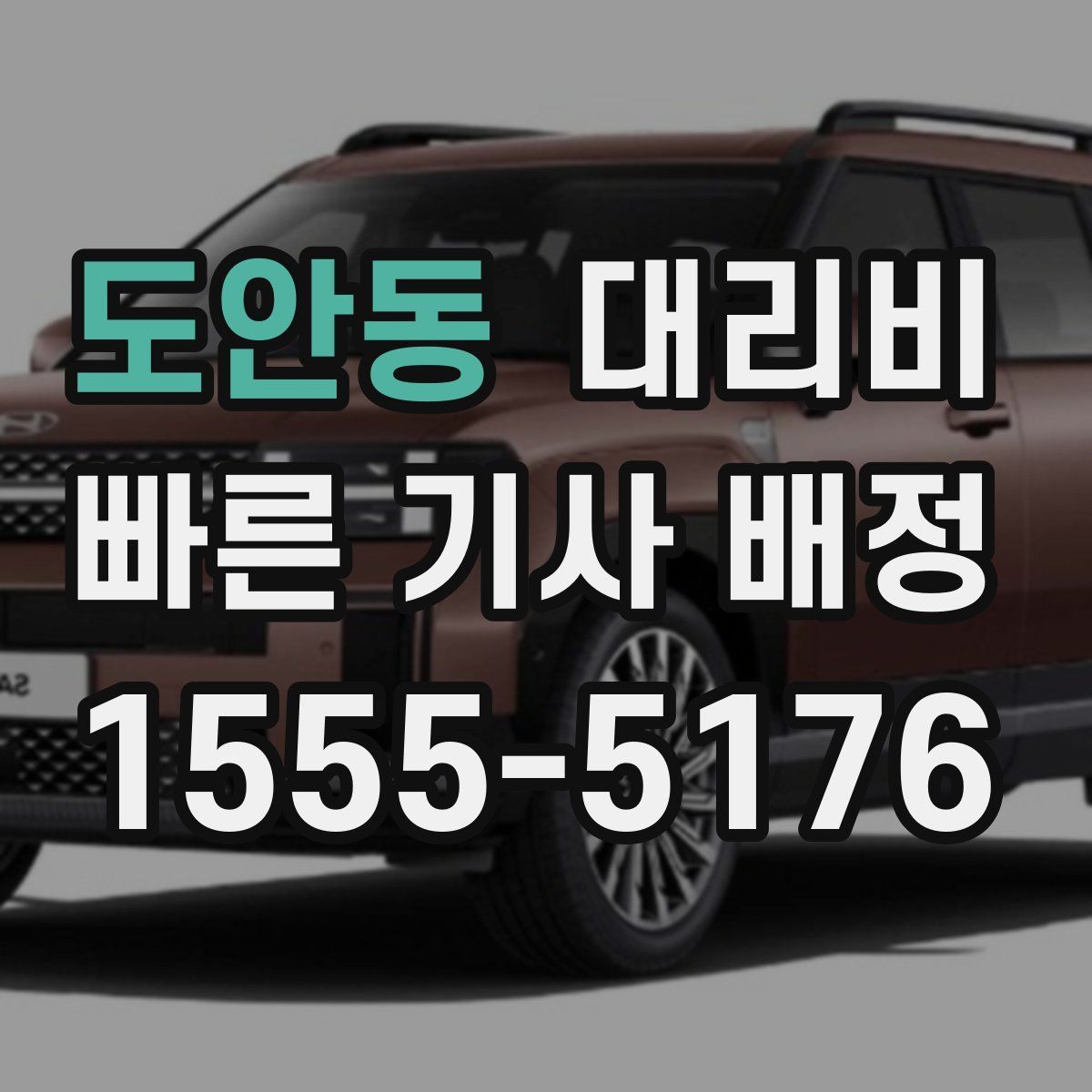 도안동 대리운전