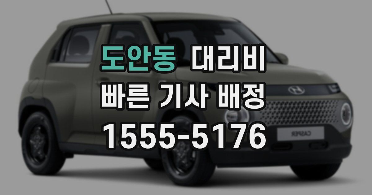 도안동 대리운전 가격