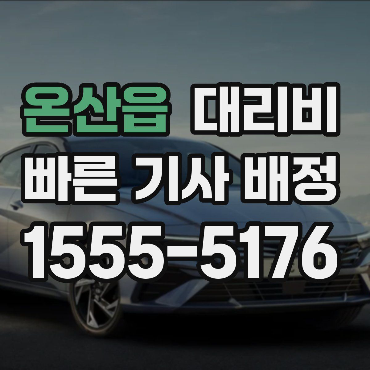 온산읍 대리운전