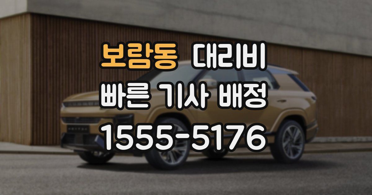 보람동 대리운전 가격