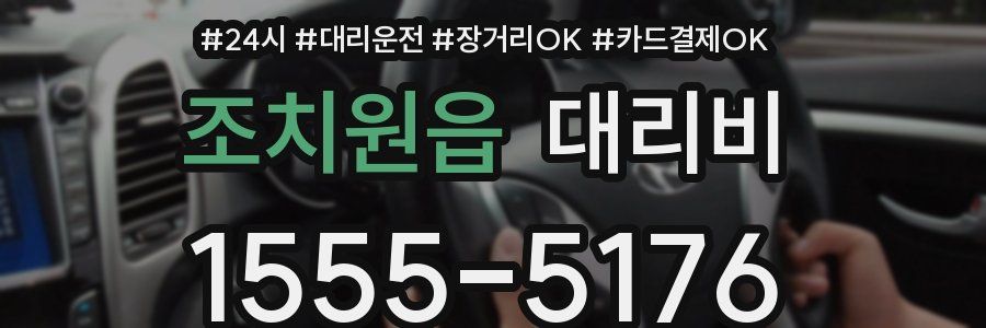 조치원읍 대리비