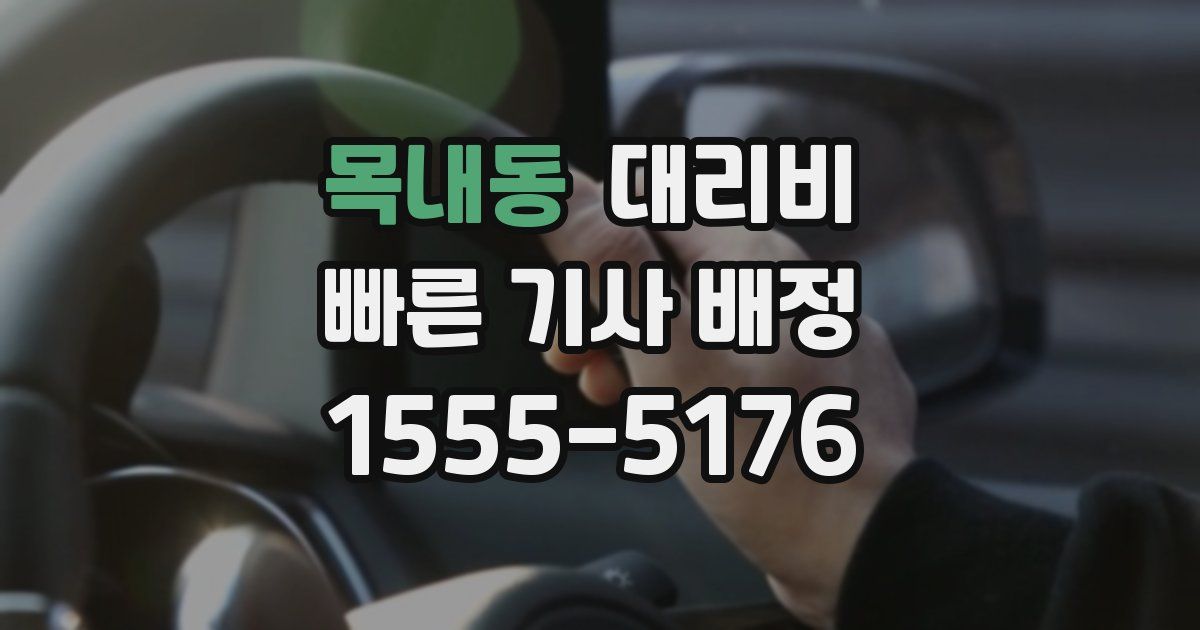 목내동 대리운전 가격