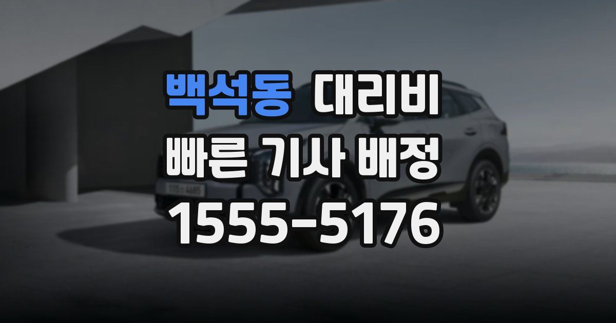 백석동 대리운전 가격