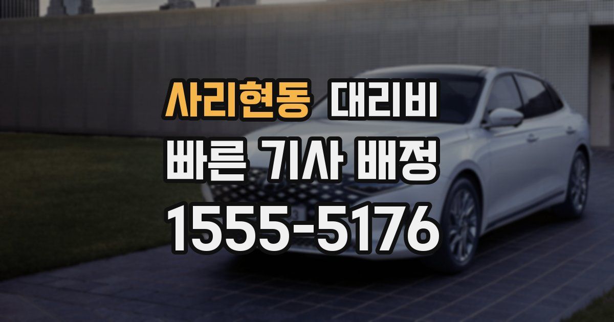 사리현동 대리운전 가격