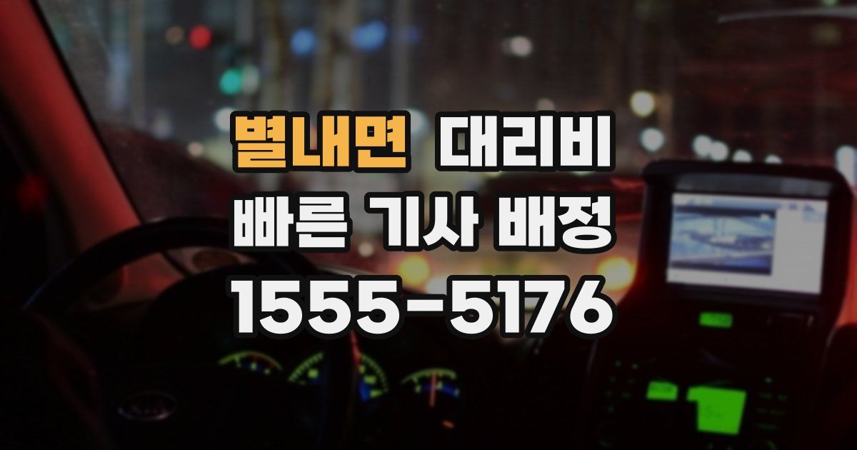 별내면 대리운전 가격