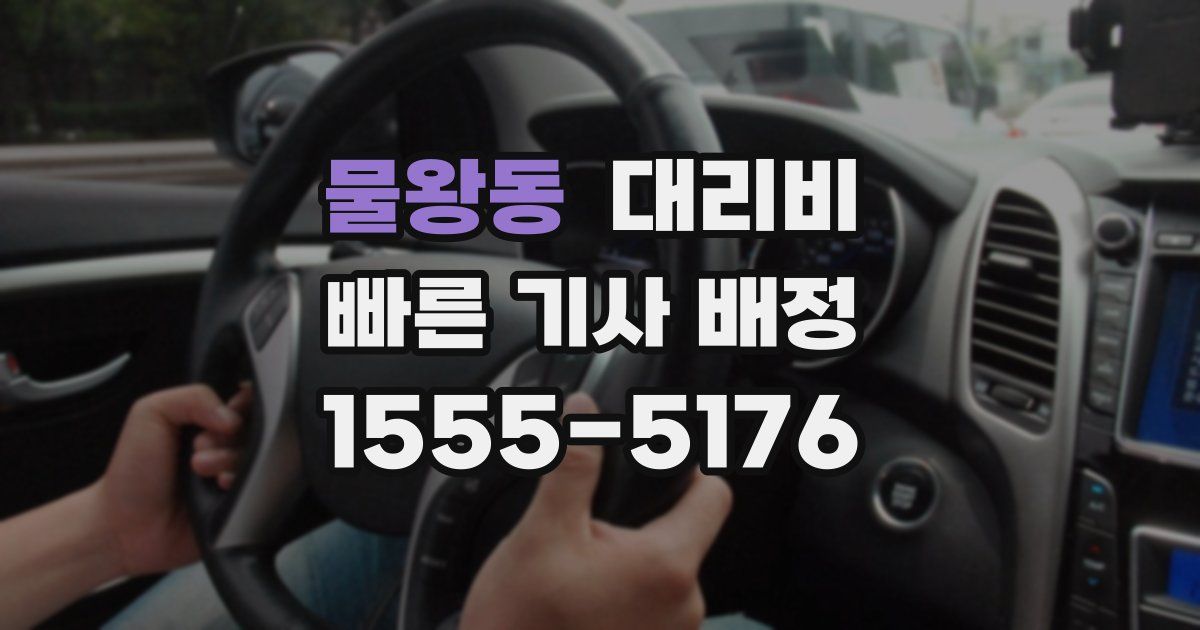 물왕동 대리운전 가격