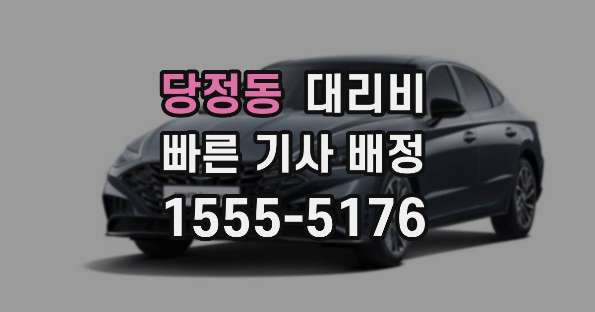 당정동 대리운전 가격