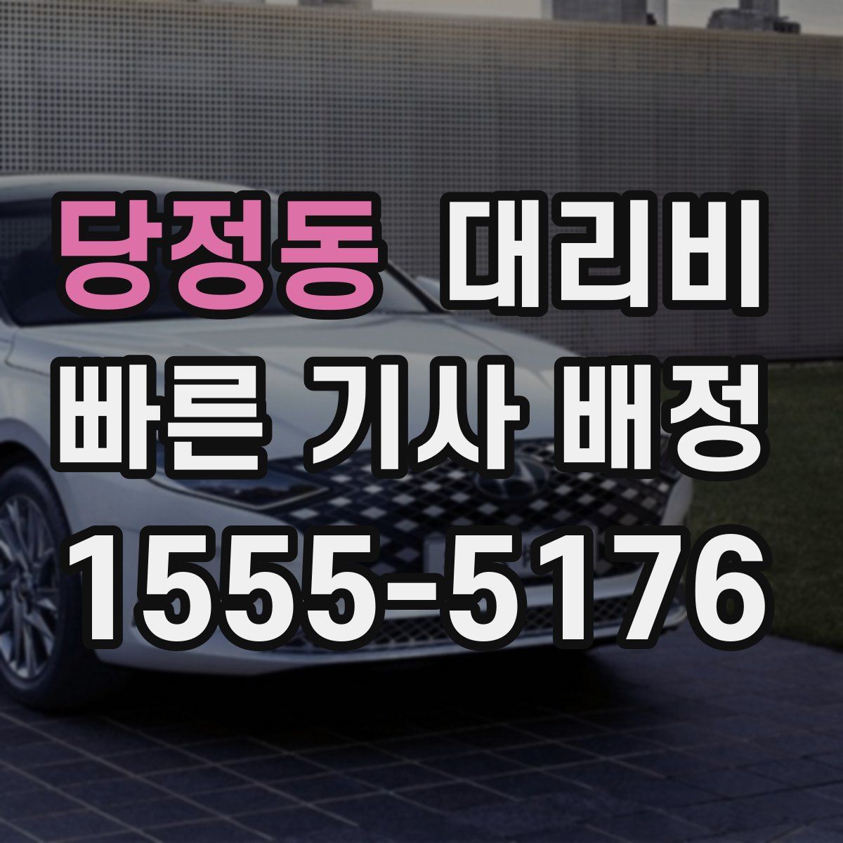 당정동 대리운전