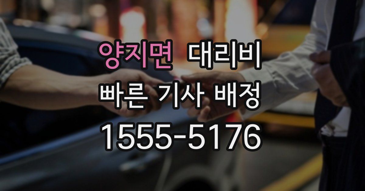 양지면 대리운전 가격